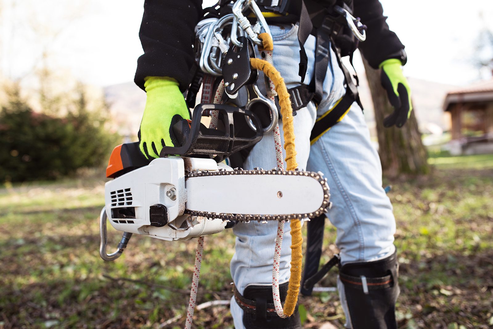 Arborist with chainsaw