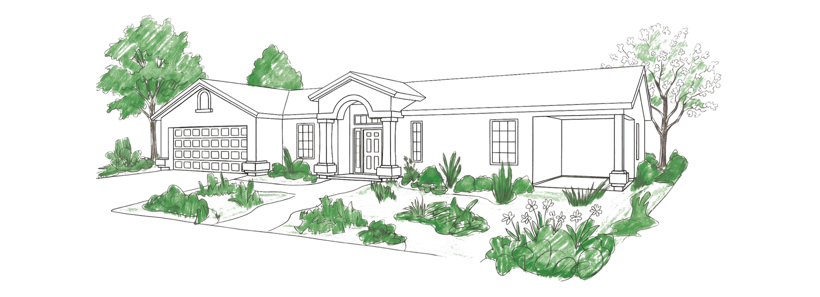 Sketch of a healthy yard