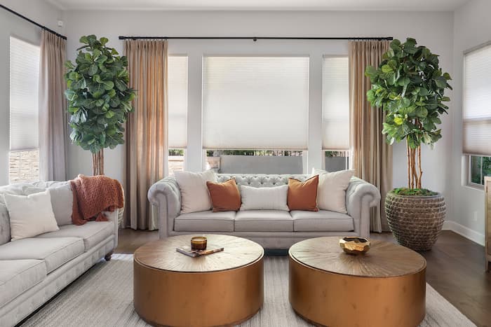 Living room with drapery and shades