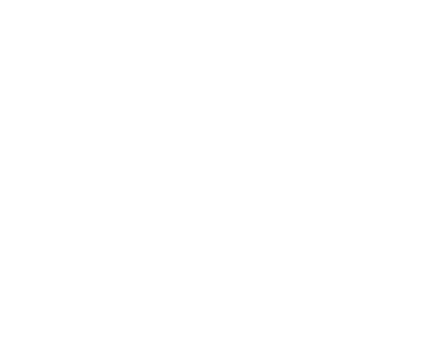 BerryClean