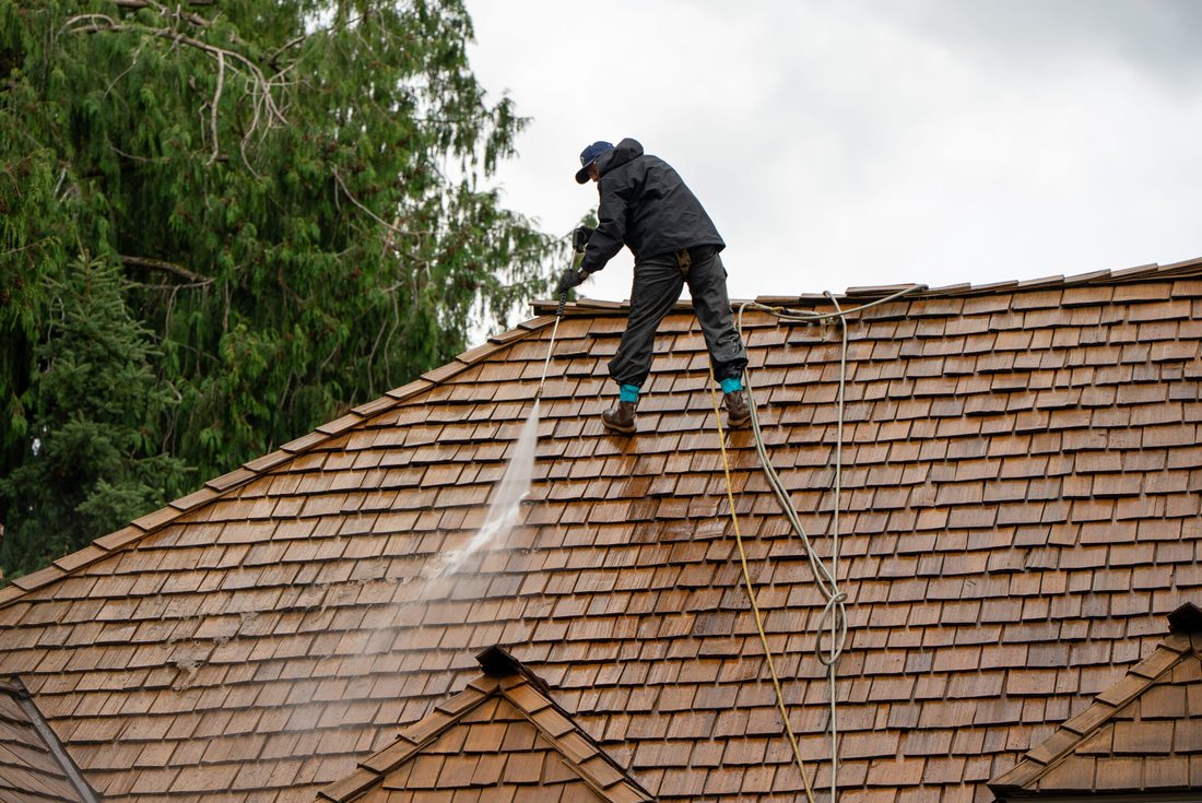 Roof cleaning
