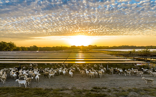 Impact Solar