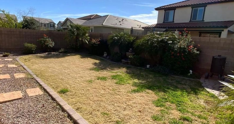 Before — patchy dry lawn