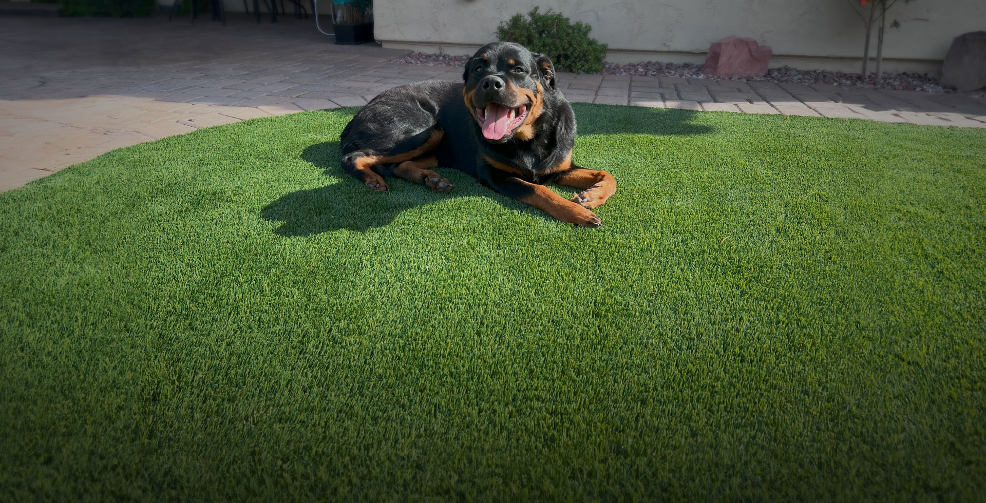 Homeowner backyard with pet-friendly turf