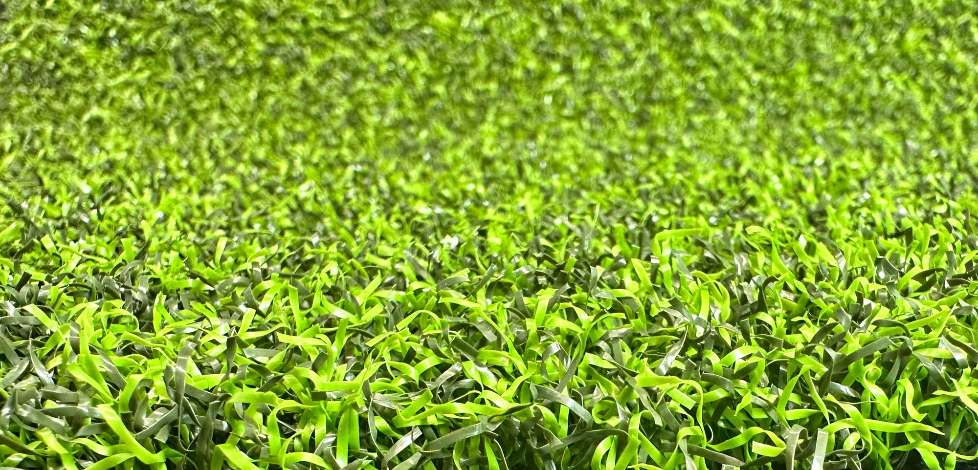 Augusta blade close-up