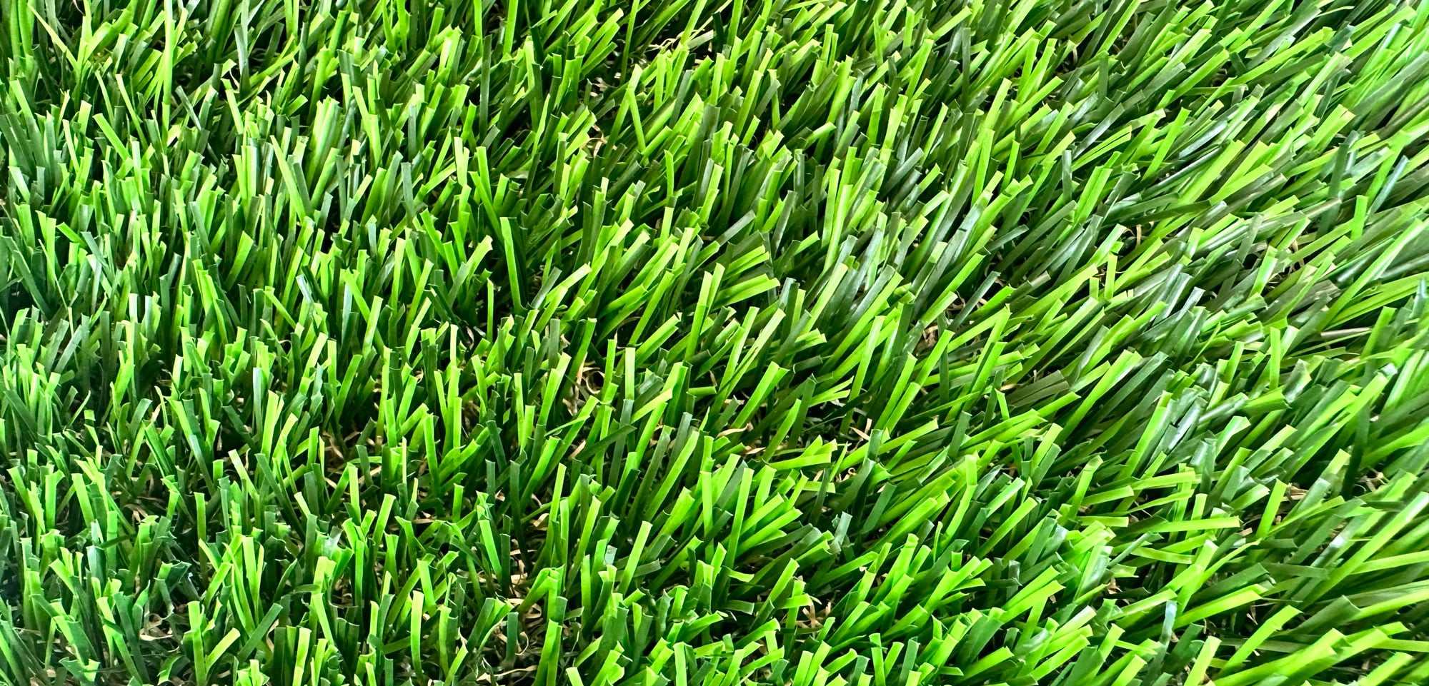 Lime 80 close-up