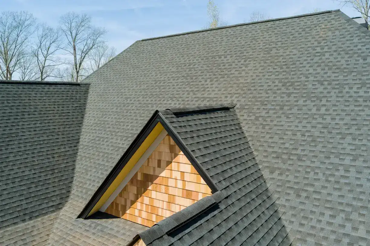 Shingle roofing