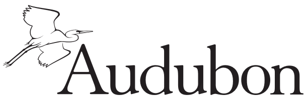 Audubon