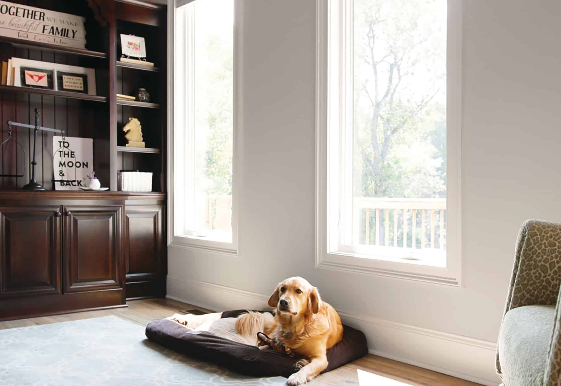Living room windows